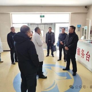 泰山景区赴大津口乡开展督导工作