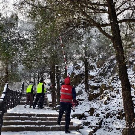 玉泉寺管理区迎雪而上清积雪 保护古树名木安全
