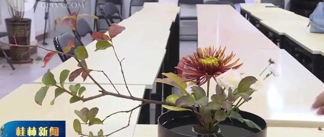 桂林插花艺术：璀璨非遗 绽放新姿