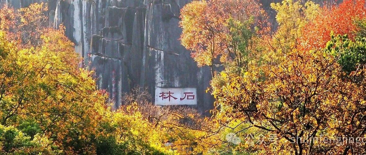 冬日到石林赴一场色彩盛宴