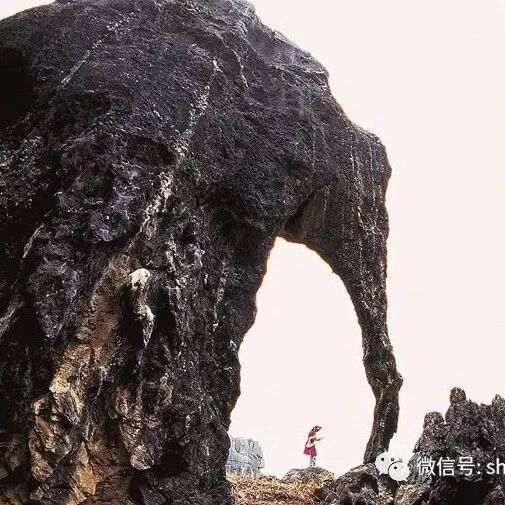 岩说石林：“喀斯特”与石林