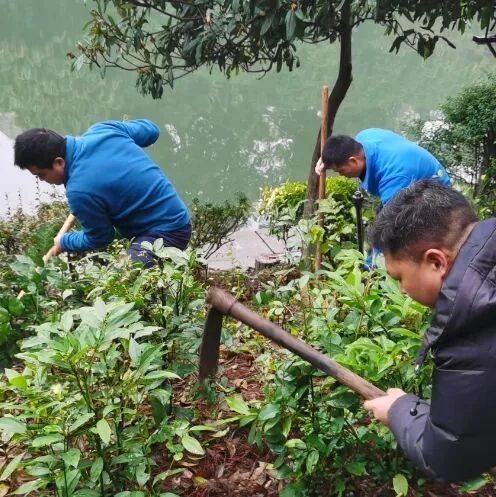 植绿桃花江畔  共筑生态桂林——两江四湖公司开展主题党日活动