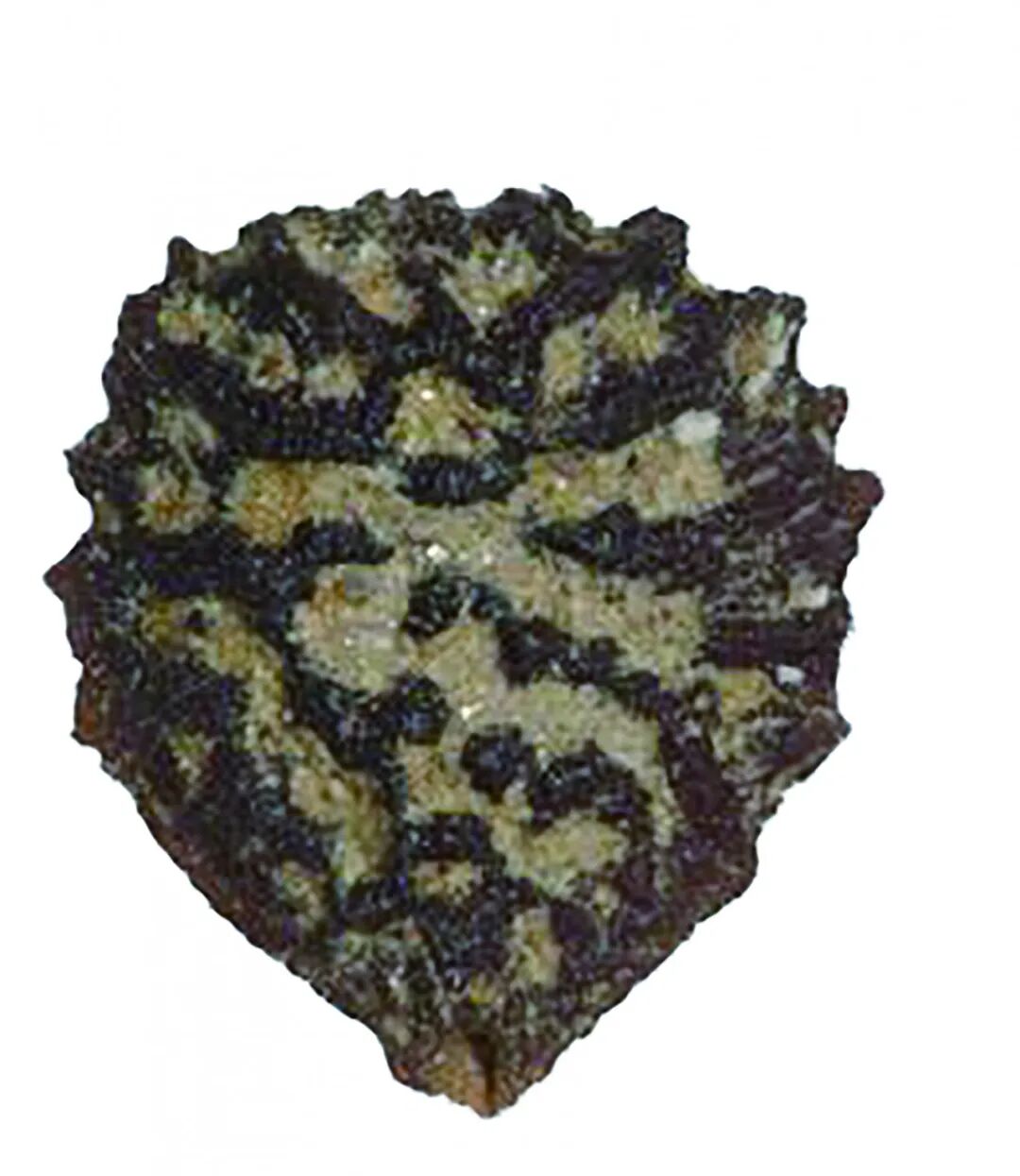 1F41822A58E42AD38DCF1D5E025D20F6 拷贝.jpg