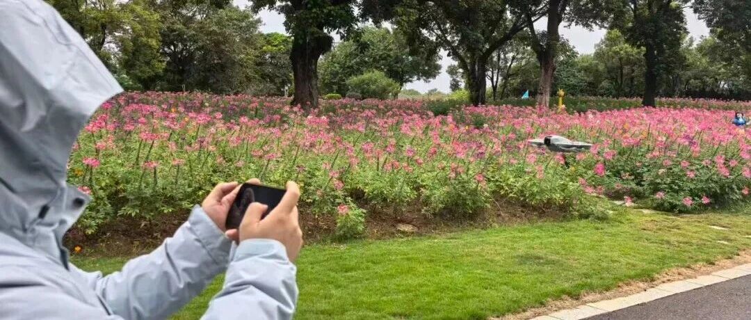 【子企业动态】桂林园博园：低空经济赋能文旅新体验