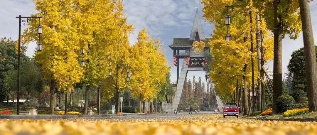“等了一整年，青城山巅峰盛景已上线！”