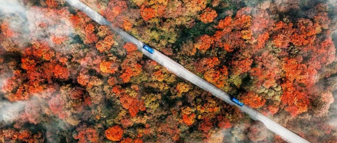 峨眉山市区任意酒店直达雷洞坪车站！景区官方直通车暖心上线