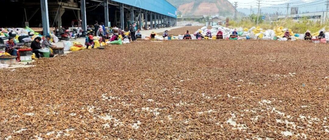 三江茶油上榜2025首批地标名品推荐名录