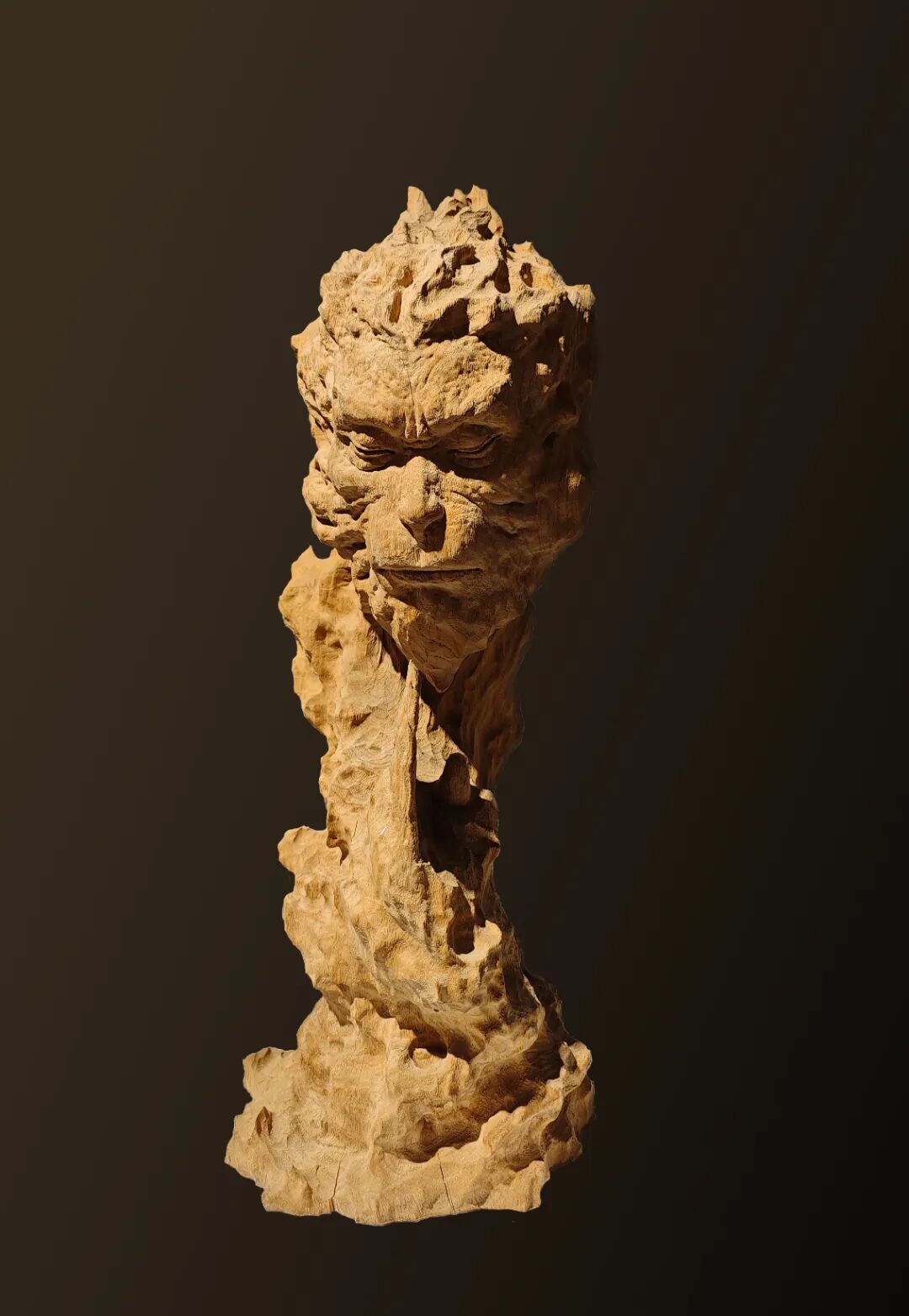 悟空 李中正 樟木.jpg