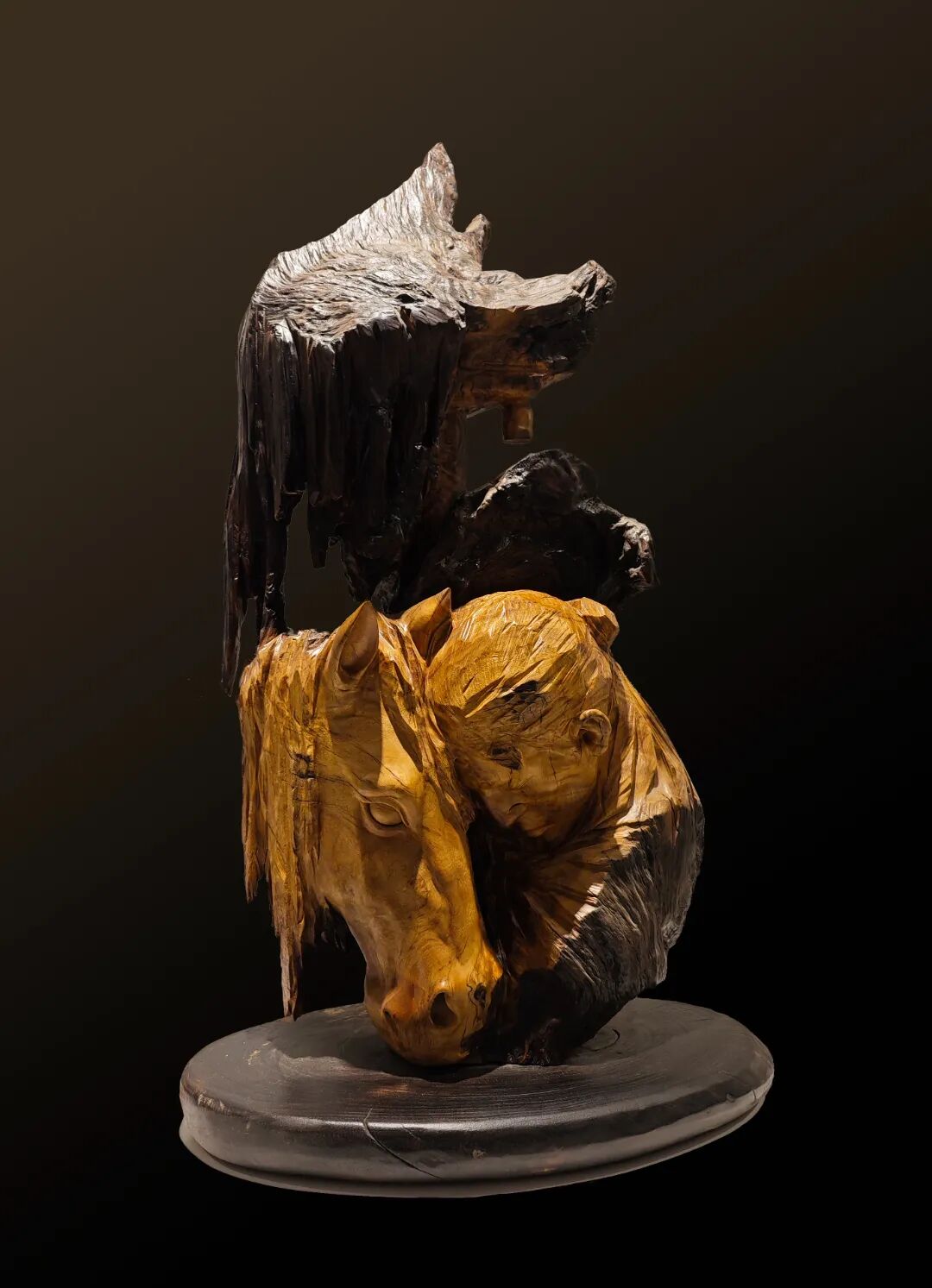 以梦为马 陈君耀 黄蜻樟.jpg