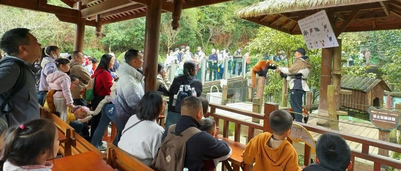 文旅深融丨碧峰峡免费科普伴游上线，解锁联票游客的专属森野体验