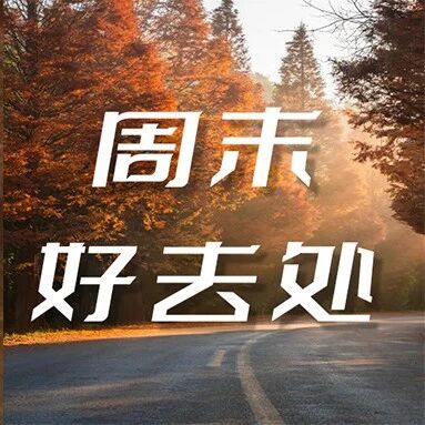 成都最美乡村公路，今年冬天必须走一趟！