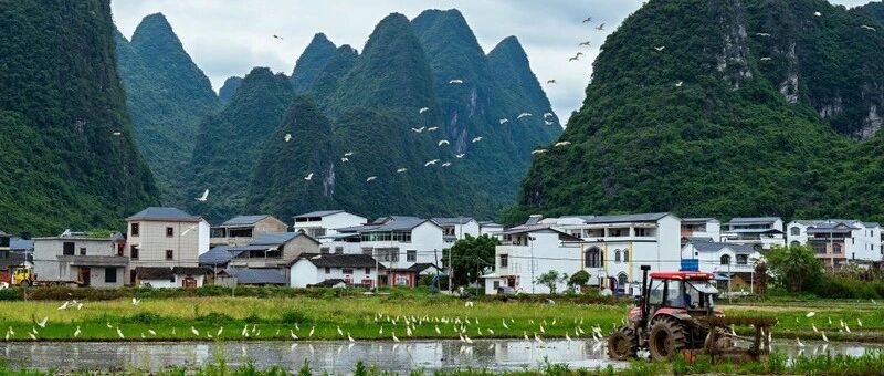 央视网点赞鹿寨文旅经验：《岁岁炊烟长》让风景与文化活起来
