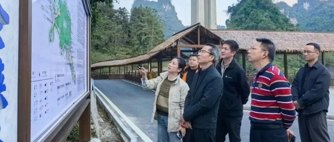 张学强调研大新老木棉景区与靖西古龙山通灵大峡谷景区