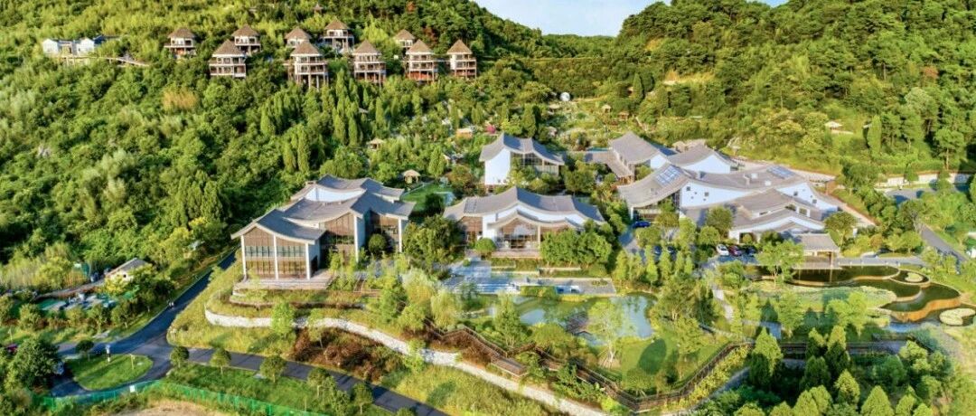 桂林全州春季赏花攻略：花开正盛，赴一场蓄谋已久的浪漫之旅