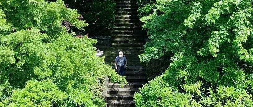 都江堰6条当天打来回春日登山线推荐，拒绝掏空式徒步