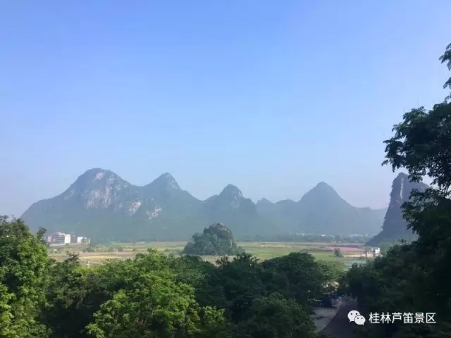 1539760637734241.jpg 1.webp.jpg