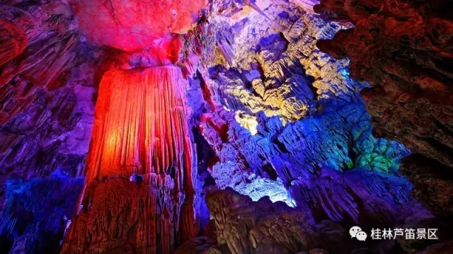 1539760762272548.jpg 6.webp.jpg