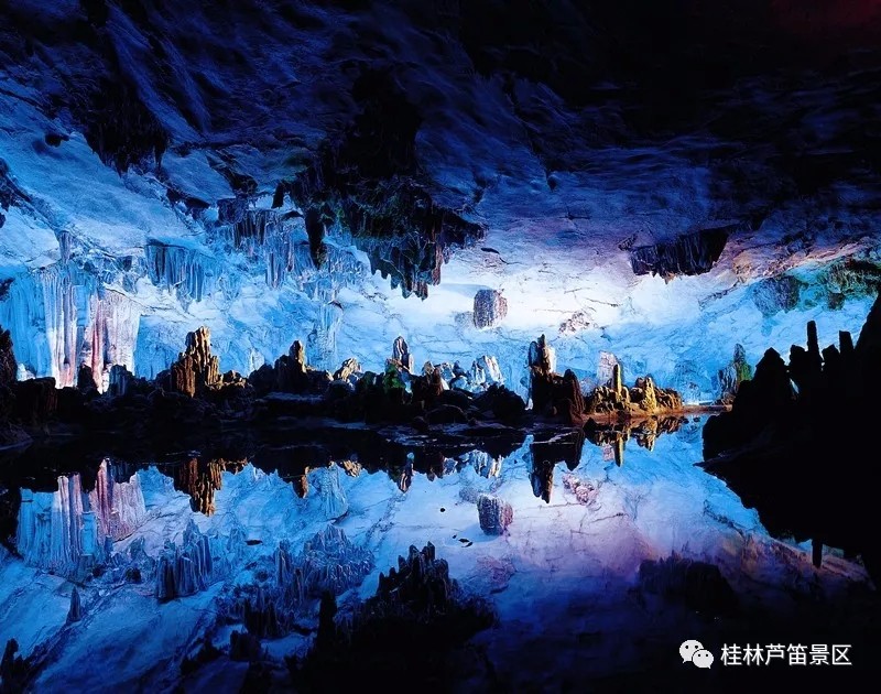 1539766963747884.jpg 1.webp.jpg